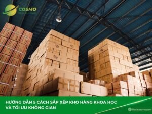 Hướng dẫn chi tiết cách sắp xếp kho hàng khoa học